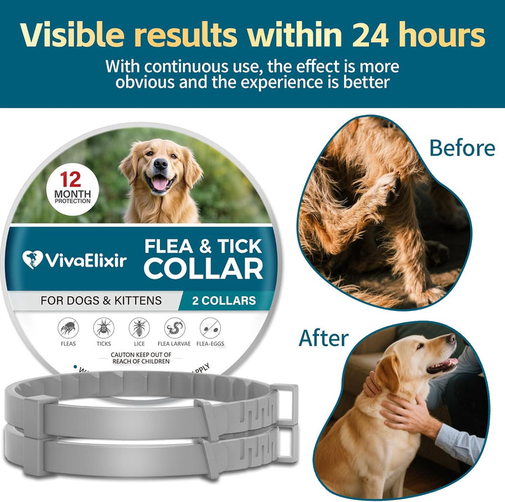 Flea and Tick Collar for Dogs – 12-Month Protection – Adjustable & Waterproof – Safe, Long-Lasting Repellent for Fleas, Ticks, Lice & Mosquitoes – Fits Small, Medium & Large Dogs
