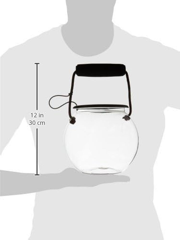 Dry Branch Sports Design Catch and Release Beach Aquarium Kit , Clear