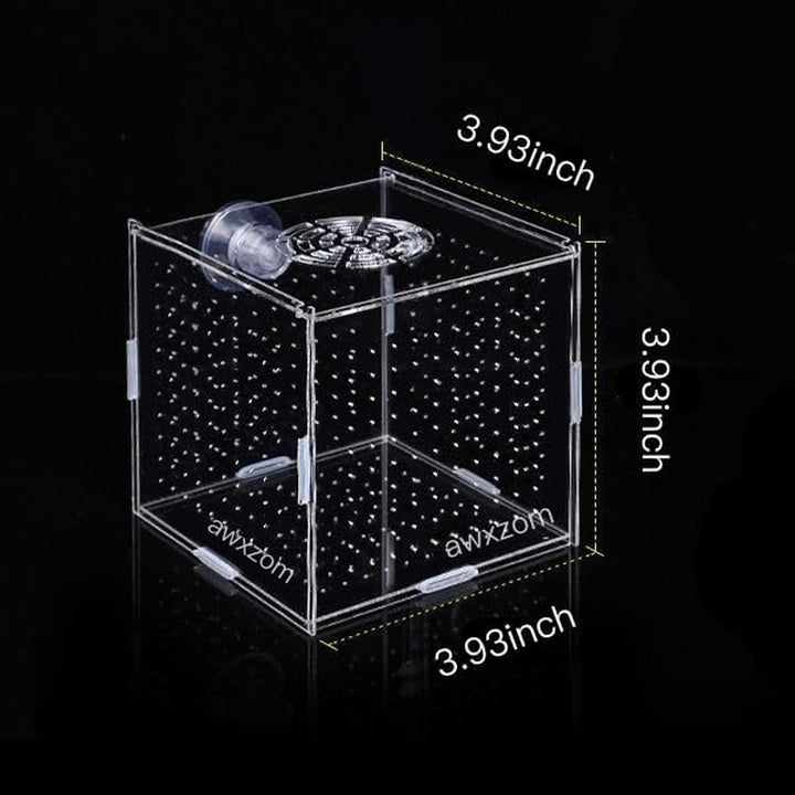 Acrylic Fish Breeding Box, Acrylic Fish Isolation Box, Fish Separator for Aquarium, Hatchery Incubator with Suction Cups for Small Baby Fishes Shrimp Clownfish Guppy (3.9 * 3.9 * 3.9Inch)
