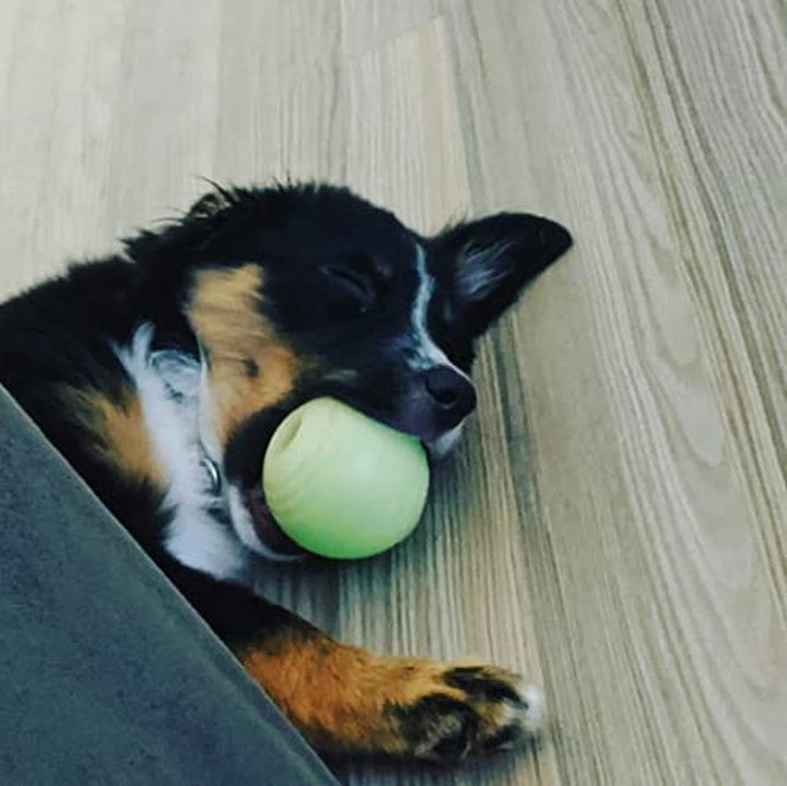 Glowing Fetch Ball, Dog Ball Toys, 2.5" 2-Pack Balls