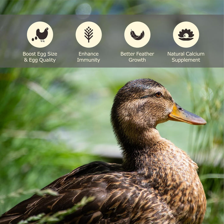 5LB Dried Black Soldier Fly Larvae, More Calcium than Dried Mealworms, High Protein Chicken Feed,Duck Food, BSFL, Duck Treats