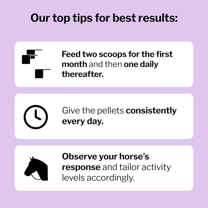 Joint 6In1 Equine Supplement 5 Lb Bag - Support for Joint Integrity and Inflammatory Response in Horses - Green-Lipped Mussel, MSM, Glucosamine, Chondroitin & Collagen