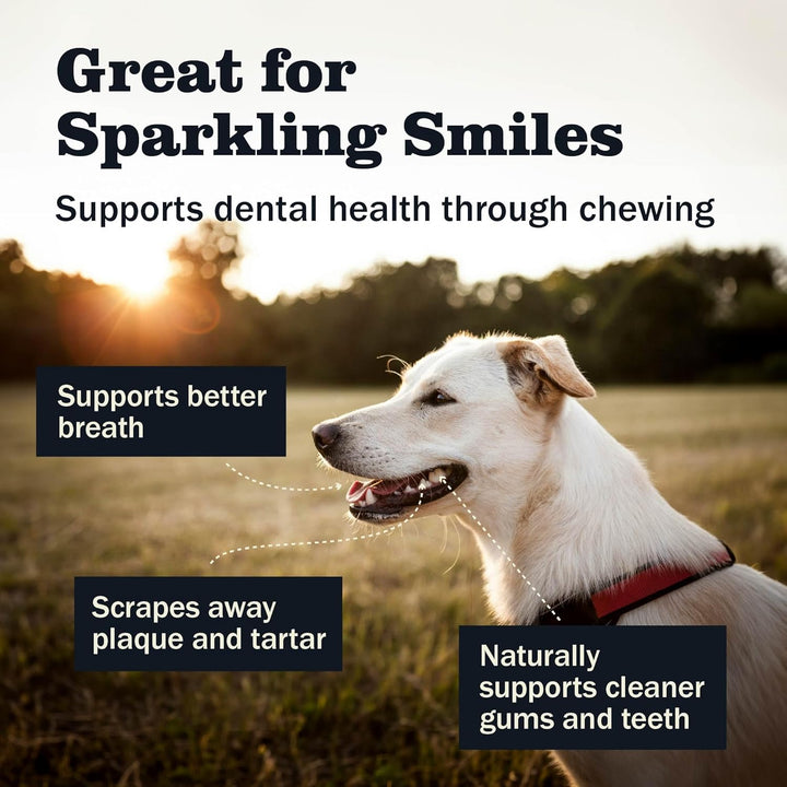 All Natural 5-8" Bully Sticks for Small & Large Dogs - Healthy Long Lasting Chews Variety Party Pack - 100% Beef Single Ingredient Low Odor Rawhide Free Dental Treats - 8 Oz Bag