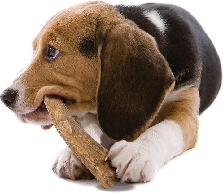 Healthy Edibles WILD Natural Dog Chew Treats for Large Dogs, Long Lasting Dog Healthy Chew Antler Bone Made in USA, Venison Flavor, for Dogs up to 50 Lbs. (2 Count)