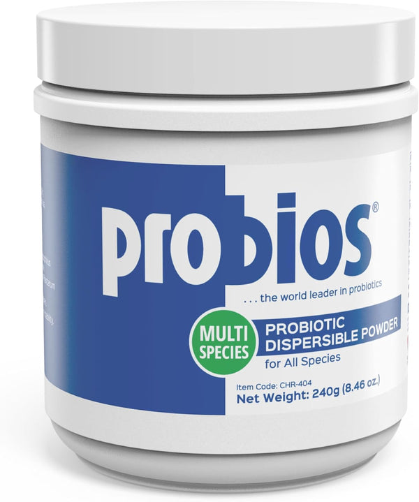 Digestive Support Probiotic for All Species, Probiotics for Gut Health, Dispersible Powder, 240 Gm