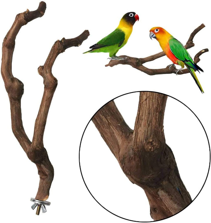 Natural Parrot Perch Bird Stand Pole Wild Grape Stick Paw Grinding Fork Parakeet Climbing Standing Branches Toy Chewable Cage Accessories for Small Budgies Cockatiels Lovebirds 3PCS