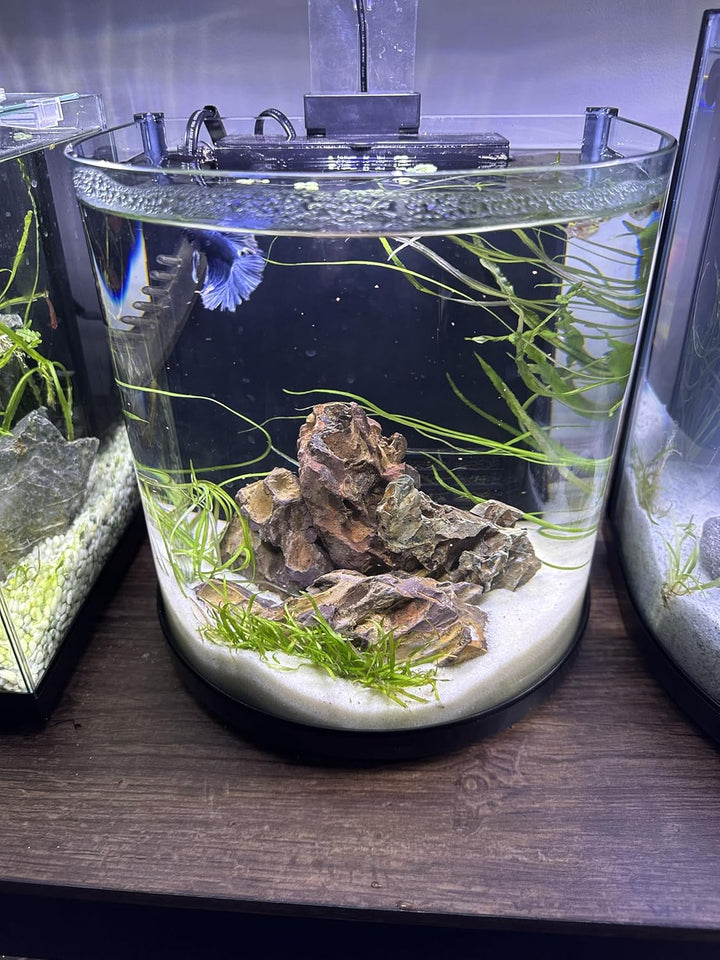 Sugar White Sand 10Lb Substrate for Aquascaping, Aquariums, Vivariums and Terrariums