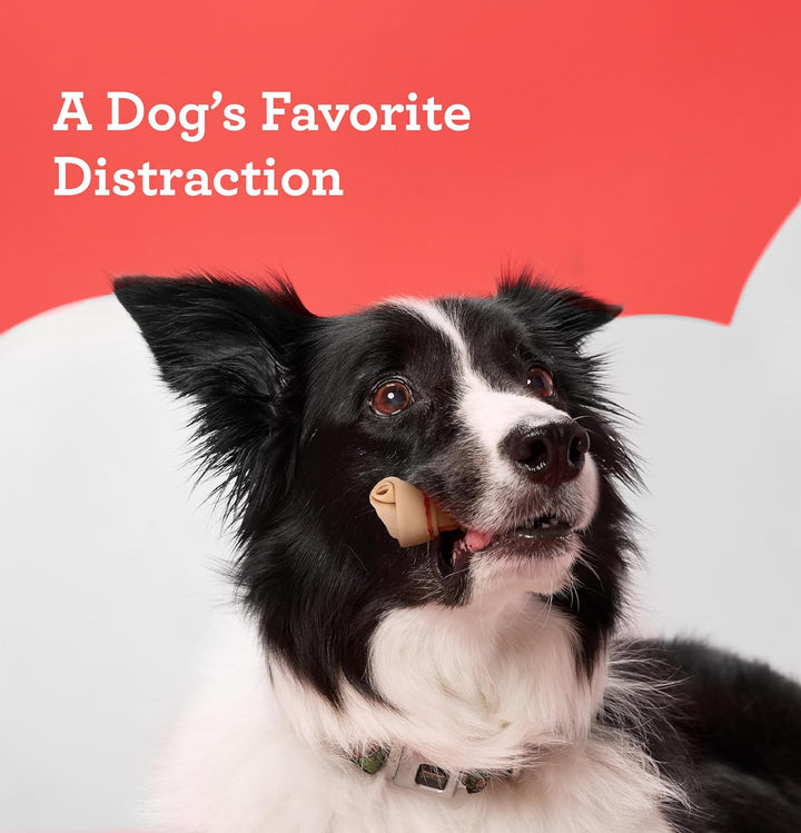 Dreamsticks with Real Chicken Chews for Dogs, 15 Count, These Easy-To-Digest Rawhide-Free Chews Are a Dog’S Favorite Distraction