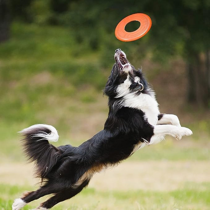 Atomic Flyer Outdoor Dog Toy, 10 Inch Flying Disc Dog Fetch Toy, Rubber Dog Toy for Medium Dogs and Large Dogs, Orange