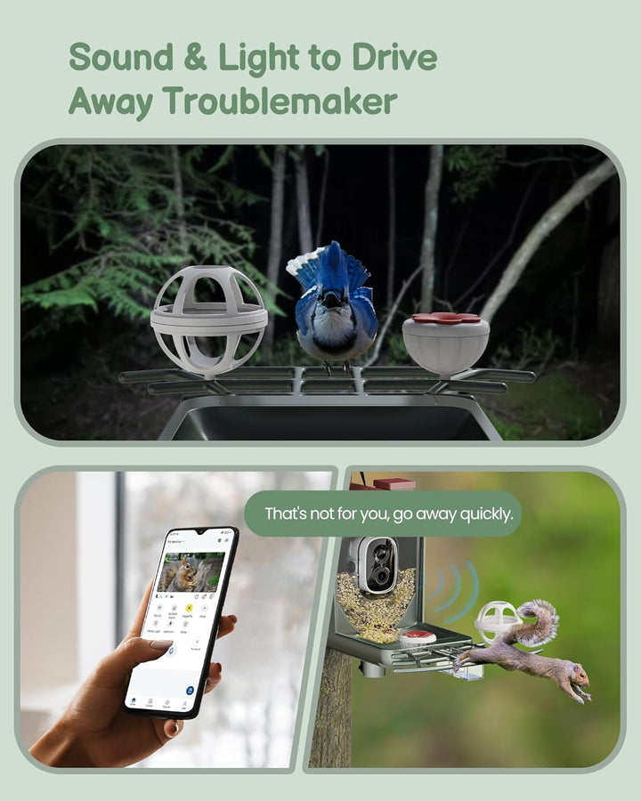 Bird Feeder with Camera Outdoor Solar: Smart Birdfeeder Cam for outside Garden - 2K HD Live Video Camera AI Recognition Visible Window Auto Capture - Bird Lover Gifts