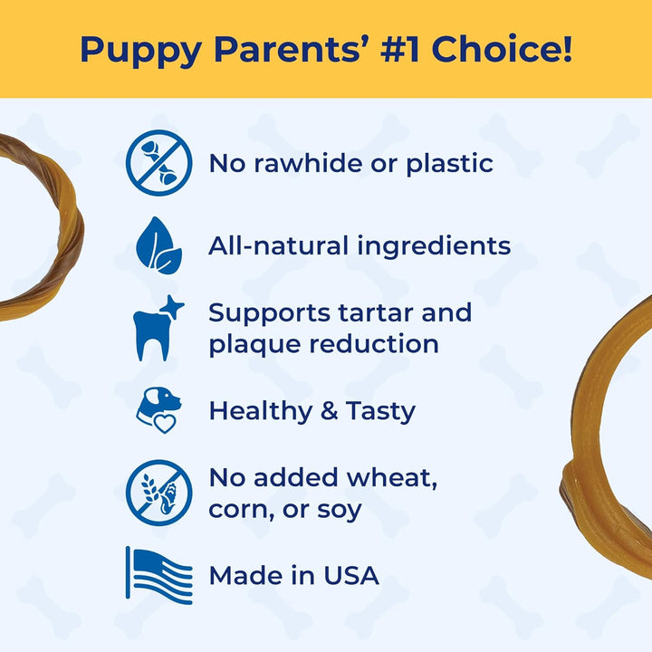 Puppy Teething Ring Pumpkin Flavor 7.2 OZ/(6 Pack)