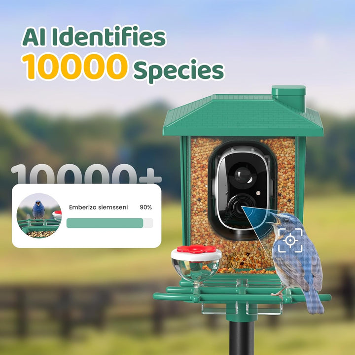 Bird Feeder with Camera Outdoor Solar: Smart Birdfeeder with AI Recognition - 2K HD Live Stream Video Camera for outside Wild Birds Garden Decor - Bird Lover Gifts