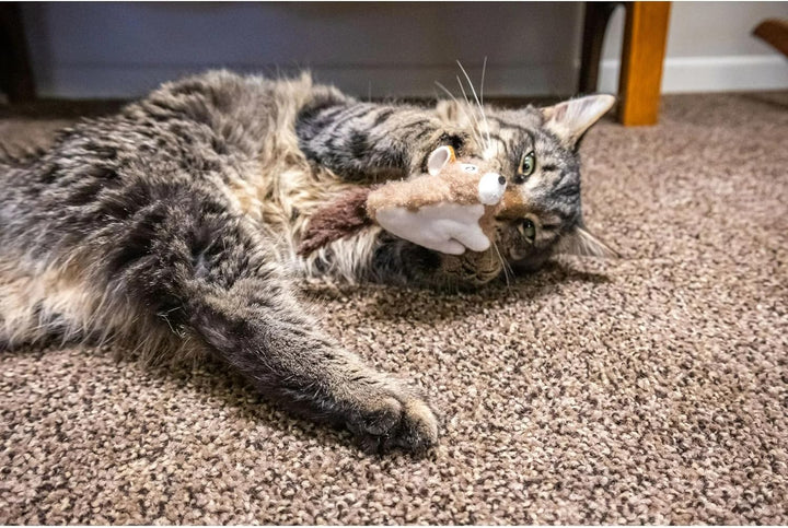 Lemur and Squirrel Cat Plush Set – 2 Piece Soft Cat Toys, Squirrel and Lemur Toy. (Pack of 2)