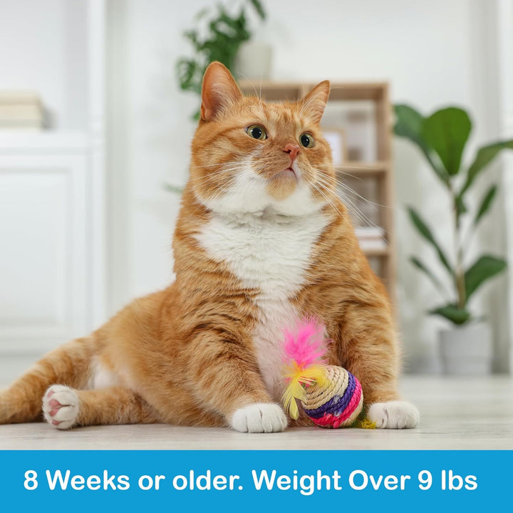 Flea and Tick Prevention for Large Cats: Waterproof Topical Cat Flea and Tick Treatment – Fast-Acting & Long-Lasting at Home Flea Control for Cats over 9 Lbs and 8 Weeks or Older – 6-Dose Supply