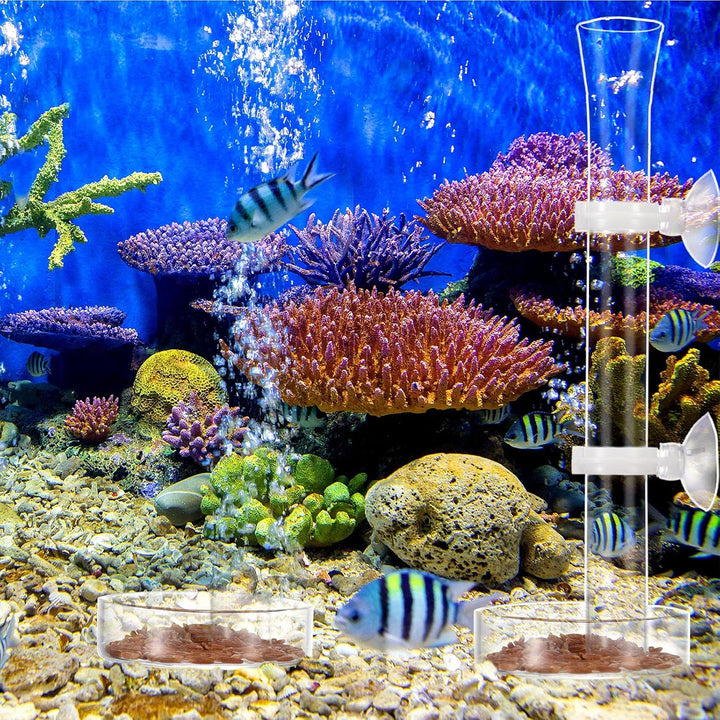 3 Pieces Shrimp Feeding Tube and Dish Set, Include Glass Shrimp Feeder Tube and 2 Aquarium Dish Bowl Fish Tank Feeding Supplies