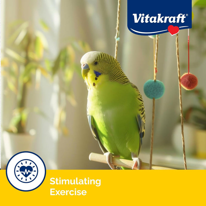 Crunch Sticks Parakeet Treat - Triple-Baked Millet Parakeet Treats with Natural Wood Center - Crunchy & Nutritious Bird Treat Sticks for Small Animals (12 Count, Honey, Egg, and Apple)