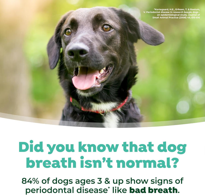 Fresh Breath Water Additive for Dogs, Dog Breath Freshener and Teeth Cleaning Solution, No Toothpaste or Toothbrush Required, 33.8Oz.