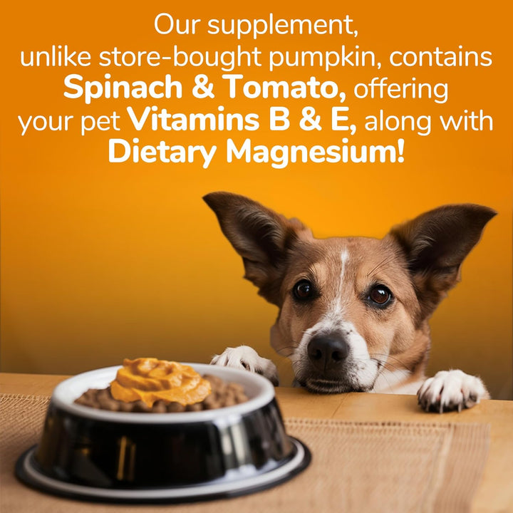 Pumpkin Digestive Supplement, Made with Pumpkins for Dogs, Healthy Fiber Supplement for Pet Nutrition, Packed with Superfoods, 15 Oz