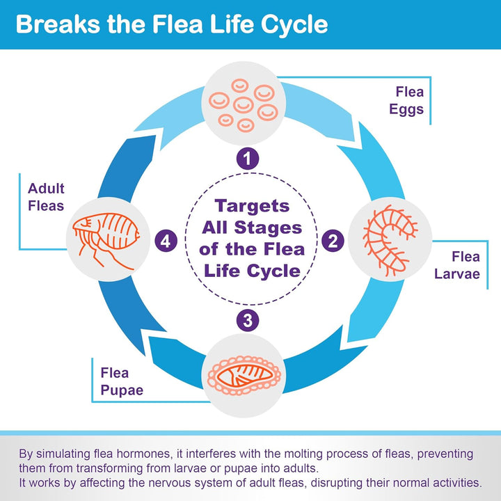 Flea and Tick Prevention for Large Cats: Waterproof Topical Cat Flea and Tick Treatment – Fast-Acting & Long-Lasting at Home Flea Control for Cats over 9 Lbs and 8 Weeks or Older – 6-Dose Supply