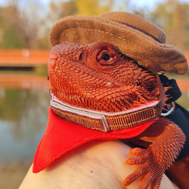 Bearded Dragon Cowboy Costume - Adjustable Lizard Cowboy Hat and Bandana Scarf Reptile Halloween Costume Photo Props for Gecko Chameleon Amphibians Ferret Hamster (Brown)
