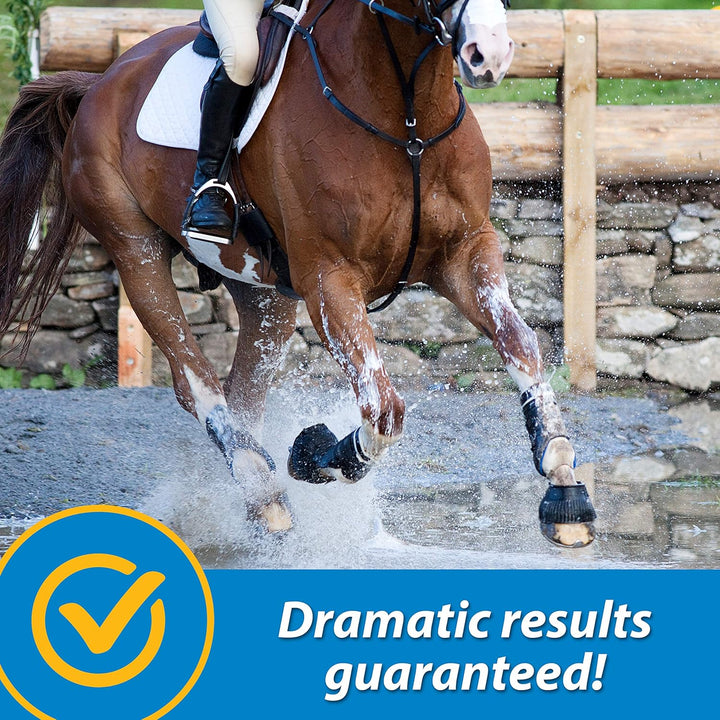 Fluidflex Liquid Joint Supplement for Horses, Helps Maintain Healthy Hip & Joint Function, 32 Ounces 32 Day Supply