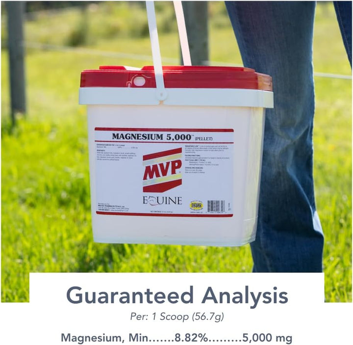 Magnesium 5000 (10Lb) Calming/Metabolism/Muscle Function Support for Horses.