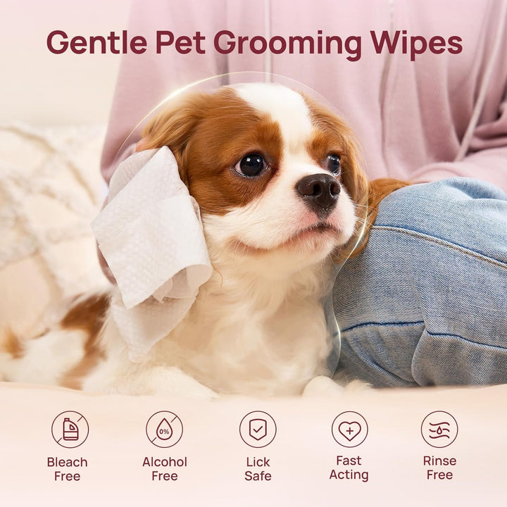 Wipes for Dogs and Cats, Vet-Recommended Pets Cleaning Wipes, Deodorizing Hydrating, Nourishes Smoothes Fur, Fermented Coconut Oil Grooming Paws, Body and Butt, Thicken, Rose, 100 Count