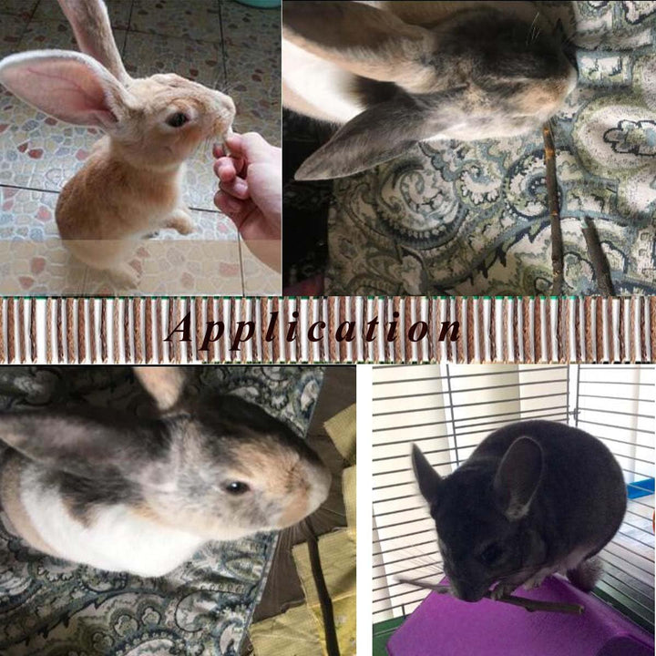 250G Apple Sticks Small Animals Molar Wood Treats Toys for Rabbits Chinchillas Guinea Pig Hamster Gerbil Parrot Bunny and Small Animals Chew Stick Toys Treats