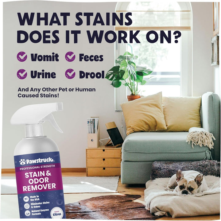 Professional Strength Pet Stain & Odor Remover - Natural Enzyme Cleaning Solution for Dogs & Cats - Safe and Effective Smell Eliminator - 32 Oz - Packaging May Vary