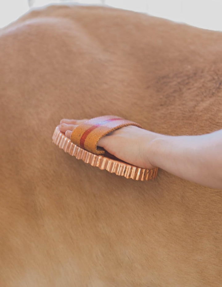 Oval Face Curry Comb Brush for Horse Grooming and Coat Care with Grip Handle