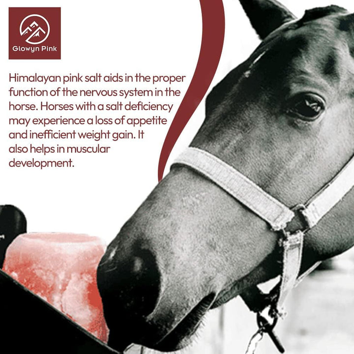 Glowyn Himalayan Salt Lick-Natural Minerals Block on Rope - 4.0 Lbs. (6 Packs) - Great for Horses, Cattle, and Live Stock– Long Lasting – Pink Salt Lick