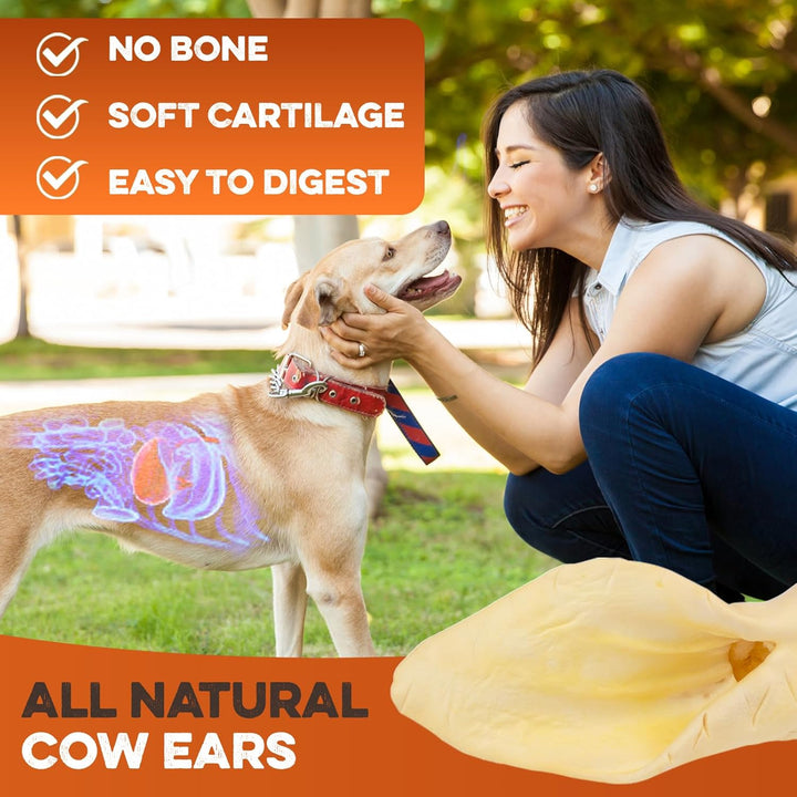 Cow Ears for Dogs – Whole Ears 30 Ct, Thick Cut, Grass-Fed Angus Beef, All-Natural No-Rawhide Dog Treat Alternative