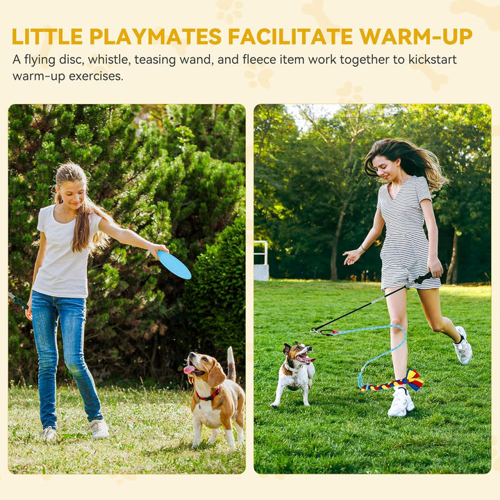 Dog Agility Accessories Kit: Comprises of a Teaser Pole, 2 Hurdles, 3 Flying Discs, 6 Weaving Poles, Agility Tunnel, Pause Box, Full Set of Agility Equipment for Backyard Indoors Outdoors