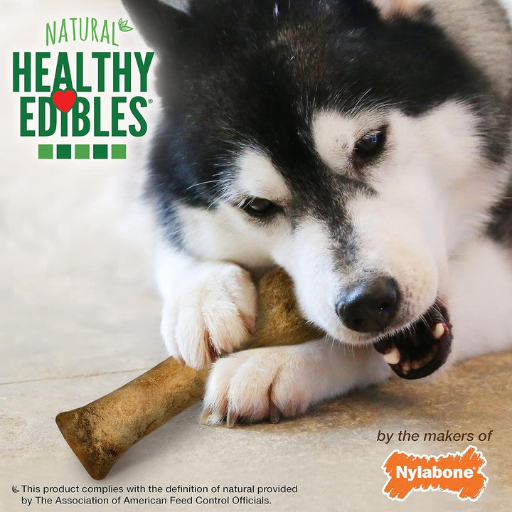 Healthy Edibles Natural Dog Chews Long Lasting Bacon Flavor Treats for Dogs, X-Large/Souper (2 Count)