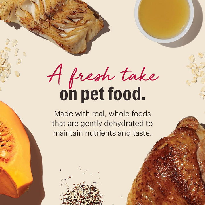 Wholemade™ Whole Grain Turkey & White Fish Dog Food, 10 Lb Box