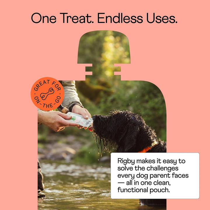 Organic Wild-Caught Alaskan Salmon Dog Treat Pouches – Low-Calorie Squeeze Treat for Training, Enrichment, Meal Topping & Pill Time – Supports Joint, Skin & Digestive Health – 6 Pack