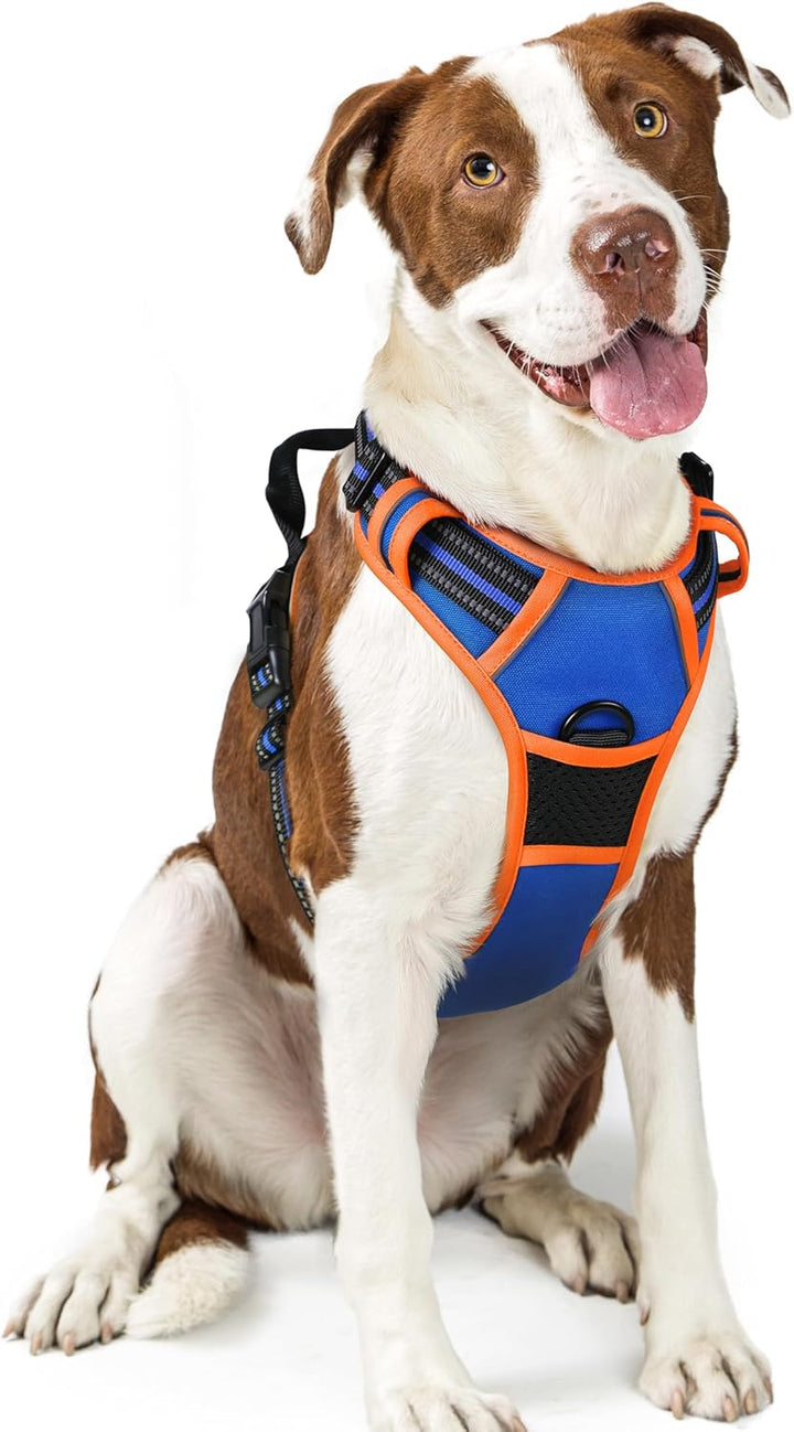 Dog Harness No Pull with 2 Leash Clips, Adjustable Soft Padded, Reflective Oxford No Choke Pet Vest with Easy Control Handle for Large Dogs, Black, L