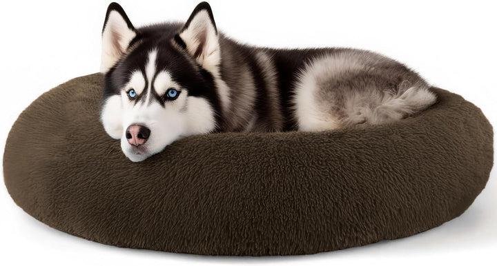Dog & Cat Bed for Indoor Cats, 20In Calming Donut Bed for Puppy and Kitten, Washable round Fluffy Pet Bed for Small Medium Dogs and Cats (Light Grey)