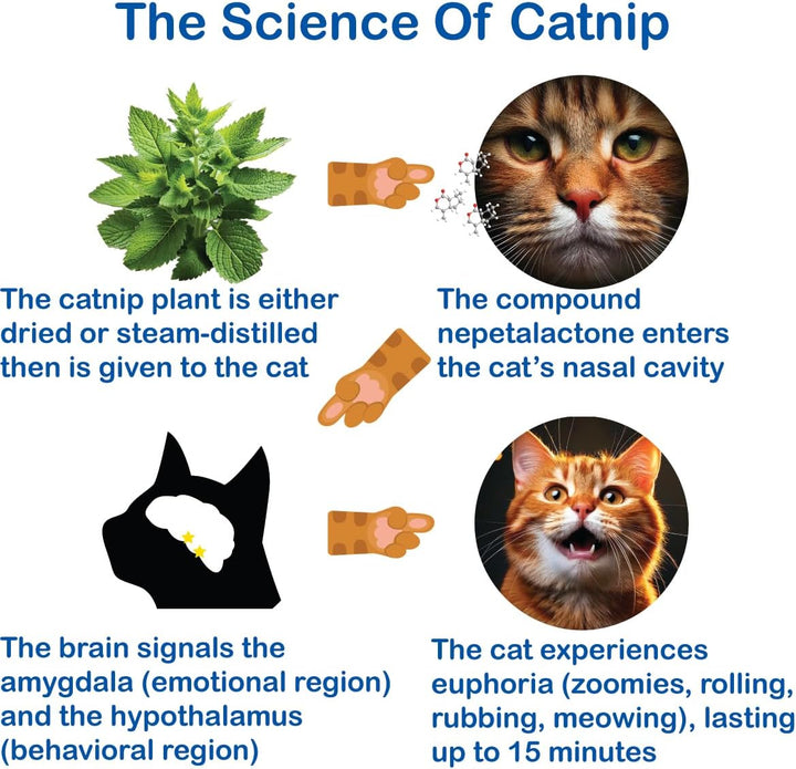 100% Pure Catnip - All Natural, Non-Addictive Treat for Cats & Kittens
