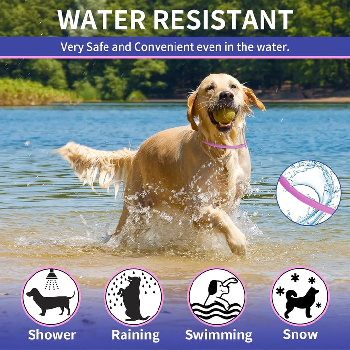 4 Pack Flea Collar for Dogs, Dog Flea Collar Waterproof, 32 Months Prevention, Dog Fleas and Tick Treatment, Adjustable Fleas and Tick Protection for Dogs Puppy(Blue & Pink)