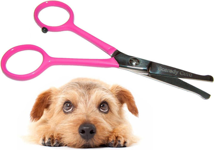 Tiny Trim 4.5" Ball-Tipped Scissor for Dog, Cat and All Pet Grooming - Ear, Nose, Face & Paw - 'S Small Safety Scissor Blue