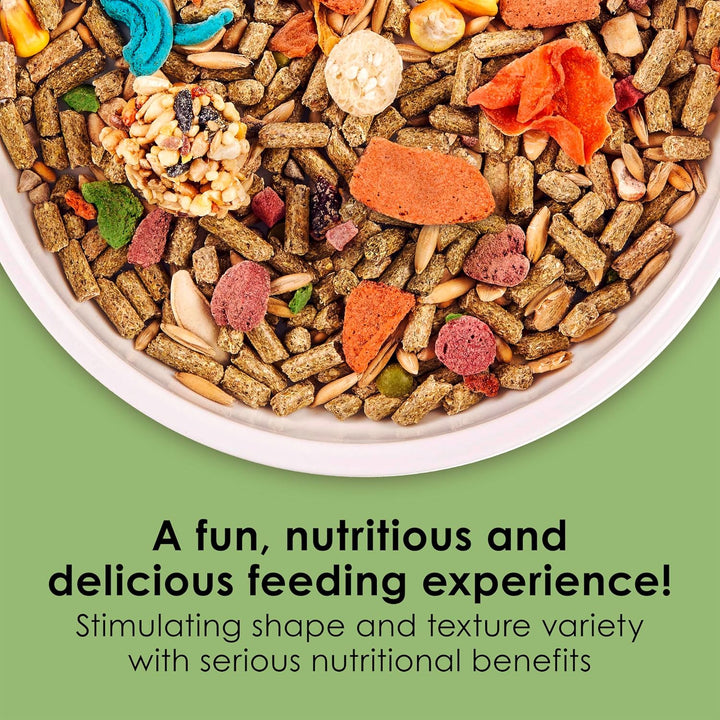 Fiesta Guinea Pig Food, Nutritious and Fun Blend, Supports Dental Health and Digestion, 4.5 Pounds