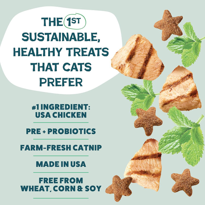 Crunchy Cat Treats - Catnip Treats for Cats with Digestive Support, Kitten Treats with Real Chicken, Natural & Healthy Flavored Feline Snacks - Catnip N Chill, 1-Pk (12 Oz)