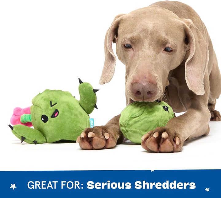 2 in 1 Interactive Plush Dog Toy - Rip and Reveal Toy for Dogs and Puppies - Stimulating Squeaky Pet Toys | Consuela Cactus (Large)
