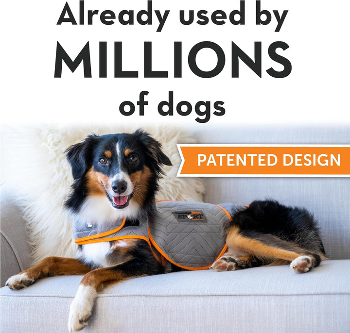 for Dogs, Large, Platinum Sport - Dog Anxiety Relief Calming Vest