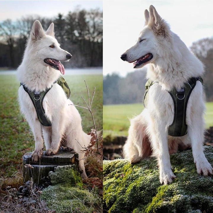 Y-Shaped Dog Backpack with Handle, Pockets & No Pull D-Rings, Lightweight Hiking Gear for Dogs Hunting Camping Travel (Medium, Green)