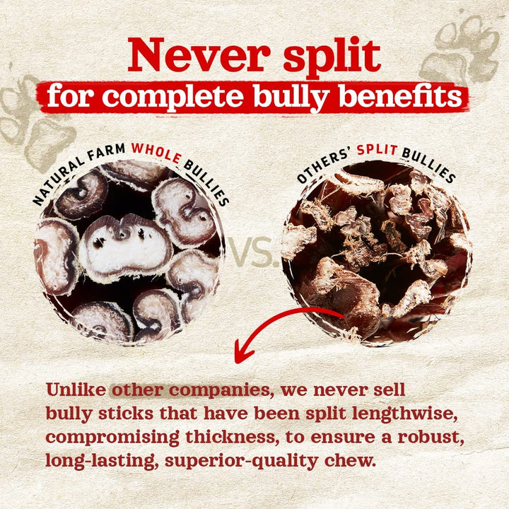 Odor-Free Bully Sticks (6 Inch, 25 Pack), 1.3 Lb. Bag, Fully Digestible 100% Beef Pizzle Chews, Grass-Fed, Non-Gmo, Grain-Free, Natural Long-Lasting Chews for Small & Large Dogs