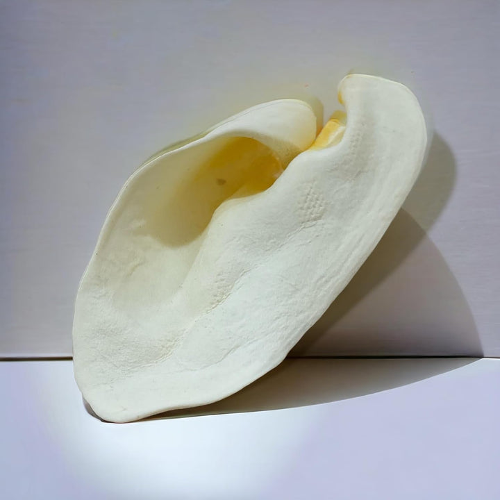 100% Natural Real Cow Ears (50 Pack) Prime Dog Chews, over 5 Inches Free Range Grass Fed Cattle, No Additives, Chemicals or Hormones