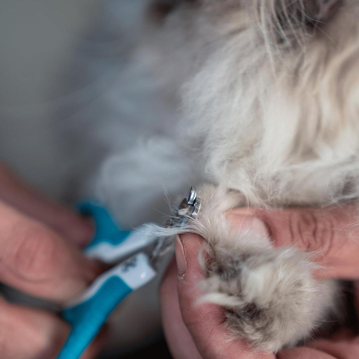 - Cat Nail Clipper, Pet Nail Trimmers, Kitten Claw Clippers, Easy to Use, Precision and Sharp Cut