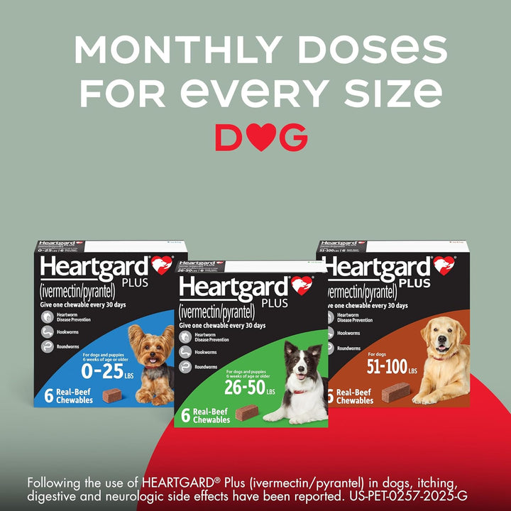 ® plus (Ivermectin/Pyrantel) Real-Beef Chewables for Dogs up to 25 Lbs (Blue Box) 6 Month Supply of Chews (Heartworm Disease Preventive)